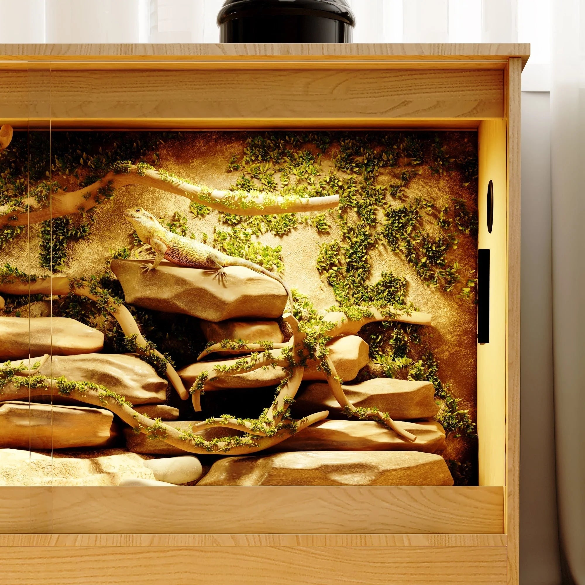 Habitat pour reptiles - Terrarium spacieux pour lézards, serpents et plus encore - 47.2